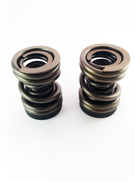 Dodge 94-98 P-Pump 3,000 and 4,000 RPM Governor Spring Kit Dynomite Diesel | 1994-1998 Cummins 5.9L