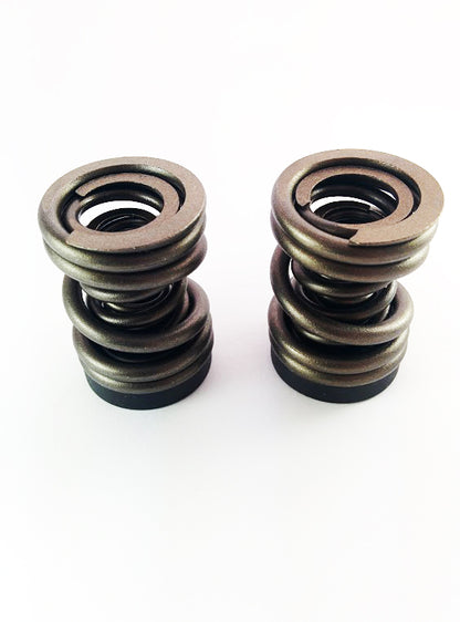 Dodge 94-98 P-Pump 3,000 and 4,000 RPM Governor Spring Kit Dynomite Diesel | 1994-1998 Cummins 5.9L