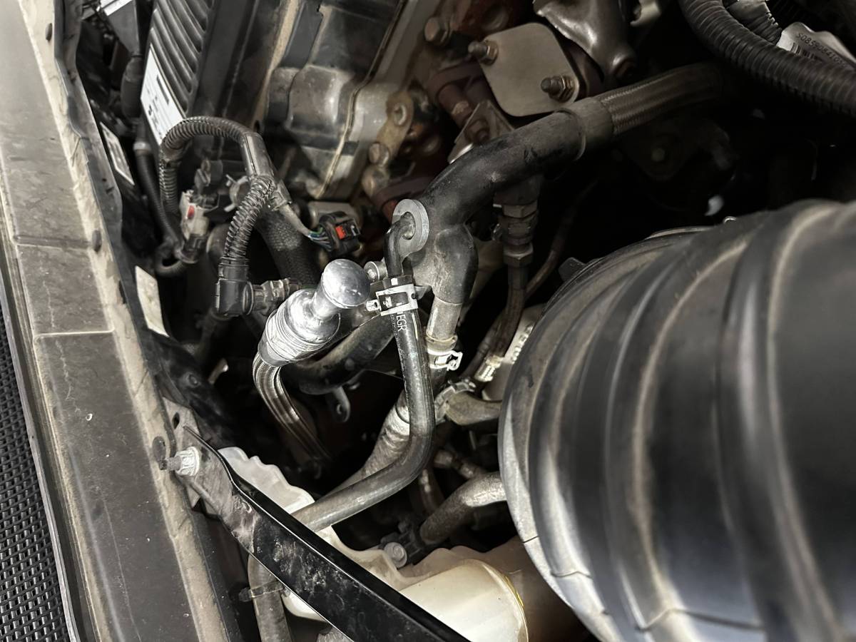Flyin' Diesel 42" Anchor-tight Locking Firewall Trans Dipstick for 68RFE - Black FD-68RFEBL | 2007.5-2024 Cummins 6.7L